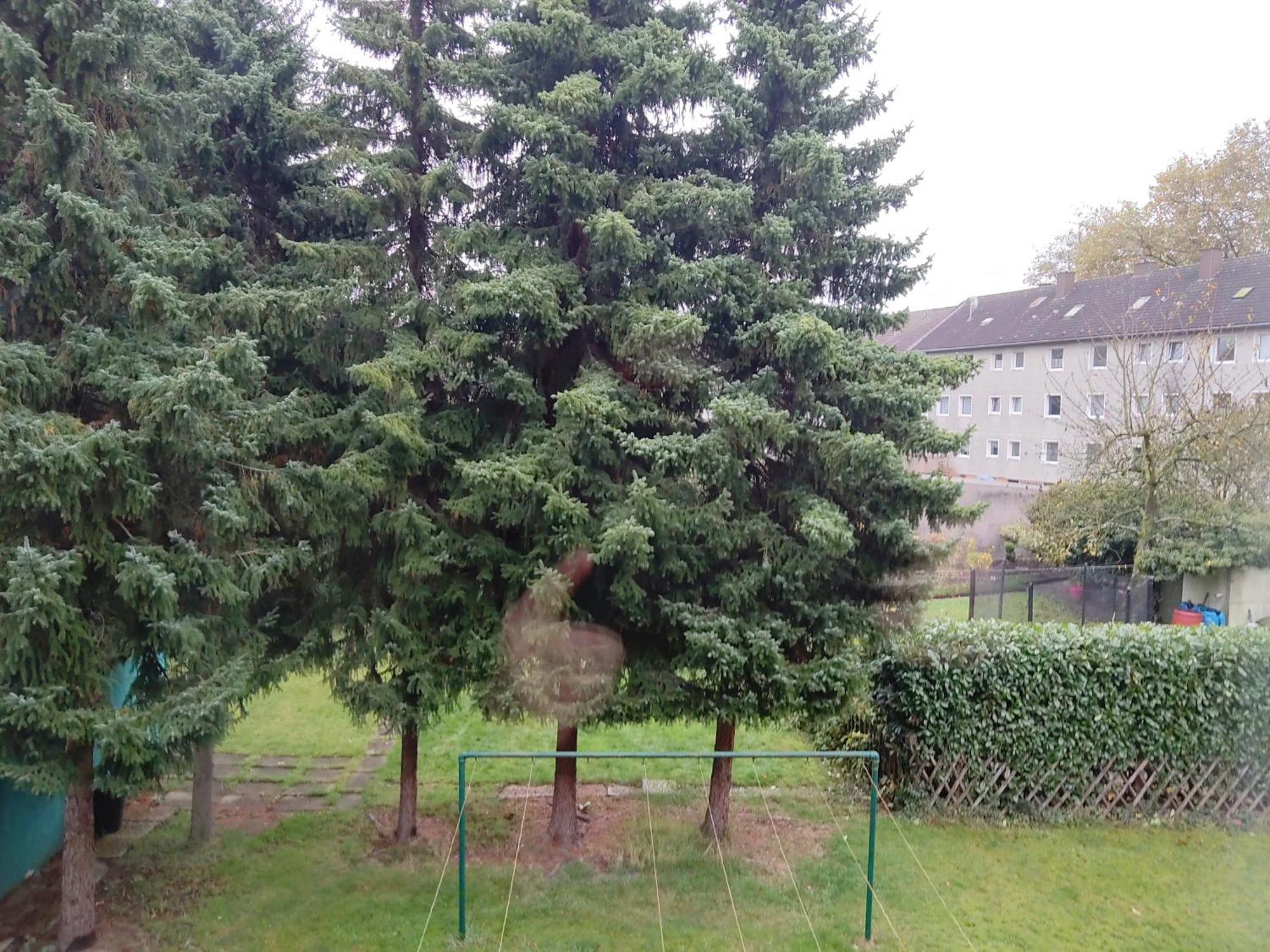 Komfortables Und Ruhiges Apartment Gelsenkirchen Luaran gambar
